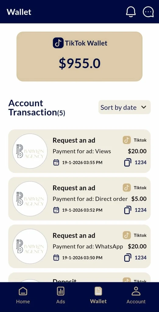 Babylon Agency client wallet and TikTok ad transaction history